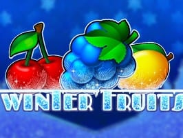 Winter Fruits screenshot